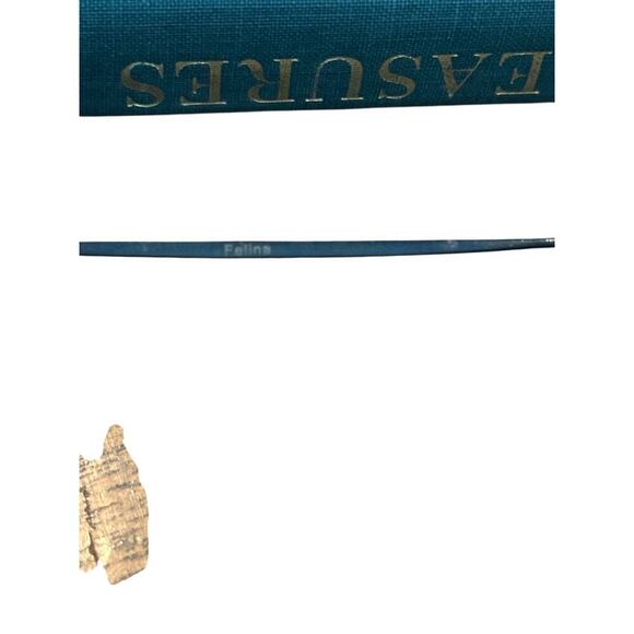 TOPFOXX Women's Black Felina Transition Blue Light Sunglasses - Picture 5 of 9